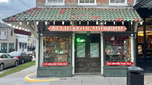 Front view of the Great American Alligator Museum at 2051 Magazine Street New Orleans, LA