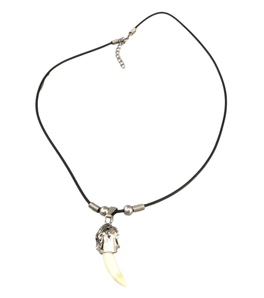 Designer Capped Alligator Tooth Collection