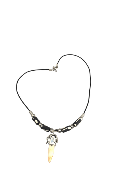 Designer Capped Alligator Tooth Collection