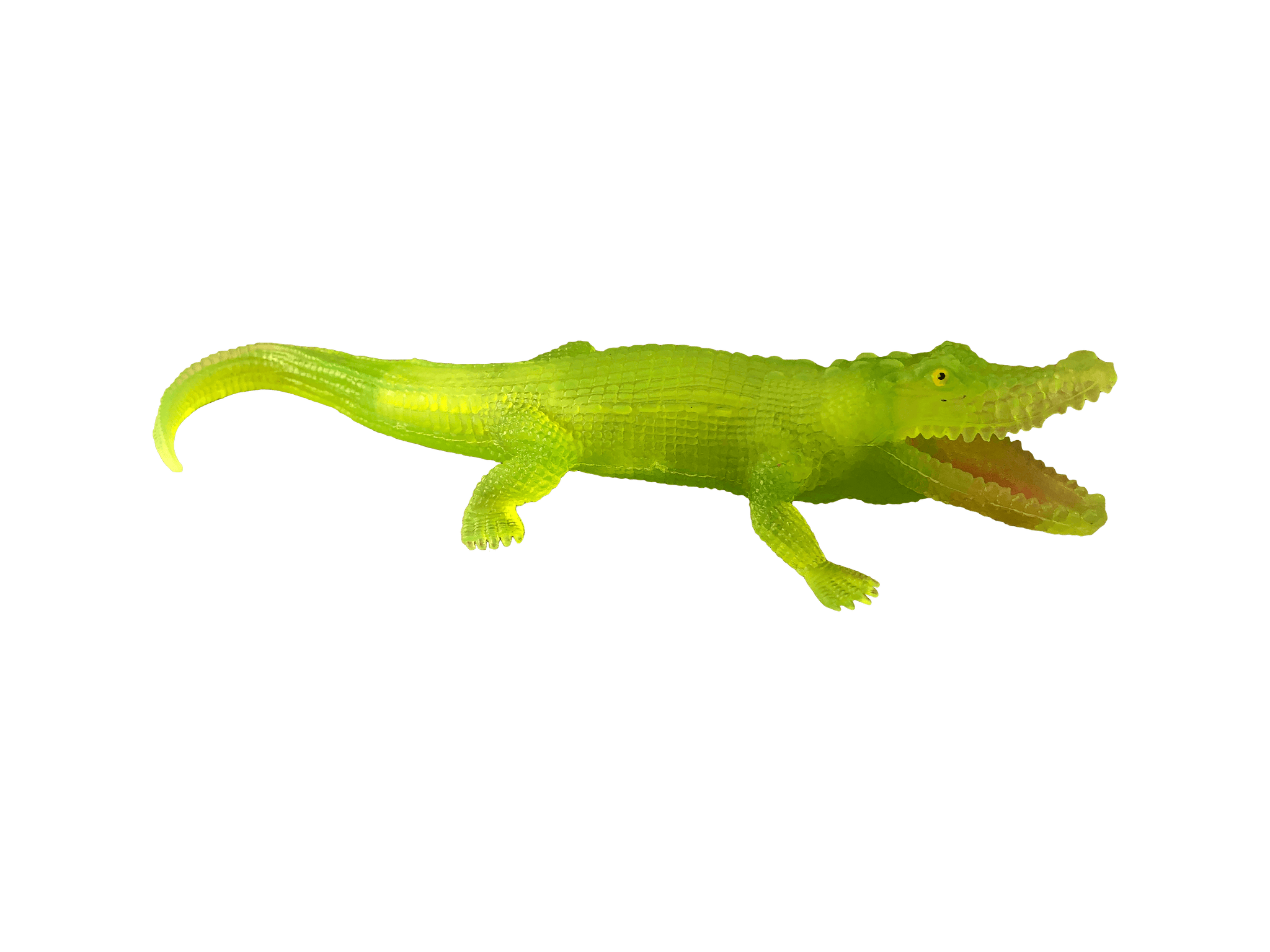 neon green squeaky gator