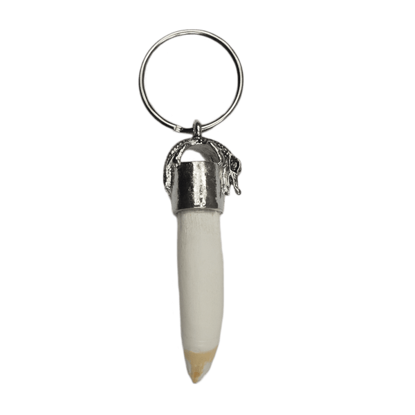 Alligator Tooth Key Ring with Alligator Cap - 3 Sizes - nice teeth!