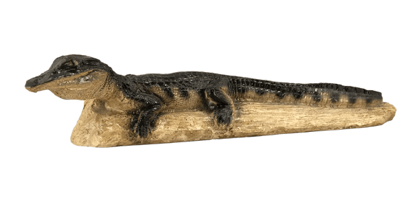 alligator on a log figurine