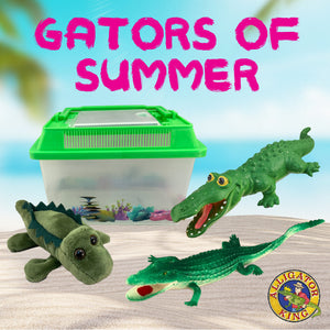 Gators of Summer: Puka shell, bubbles, luggage tag, dog toys & more!
