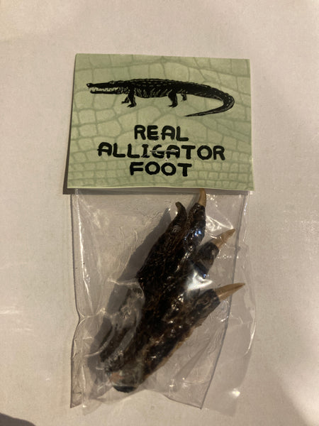 Real Alligator Foot in a Bag