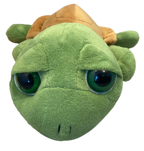 Big Eye Beanie Baby Turtle