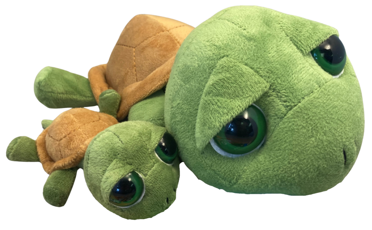 Big Eye Beanie Baby Turtle