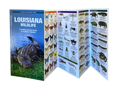 Louisiana Wildlife - Laminated-Mulitleaf Folded Pamphlet