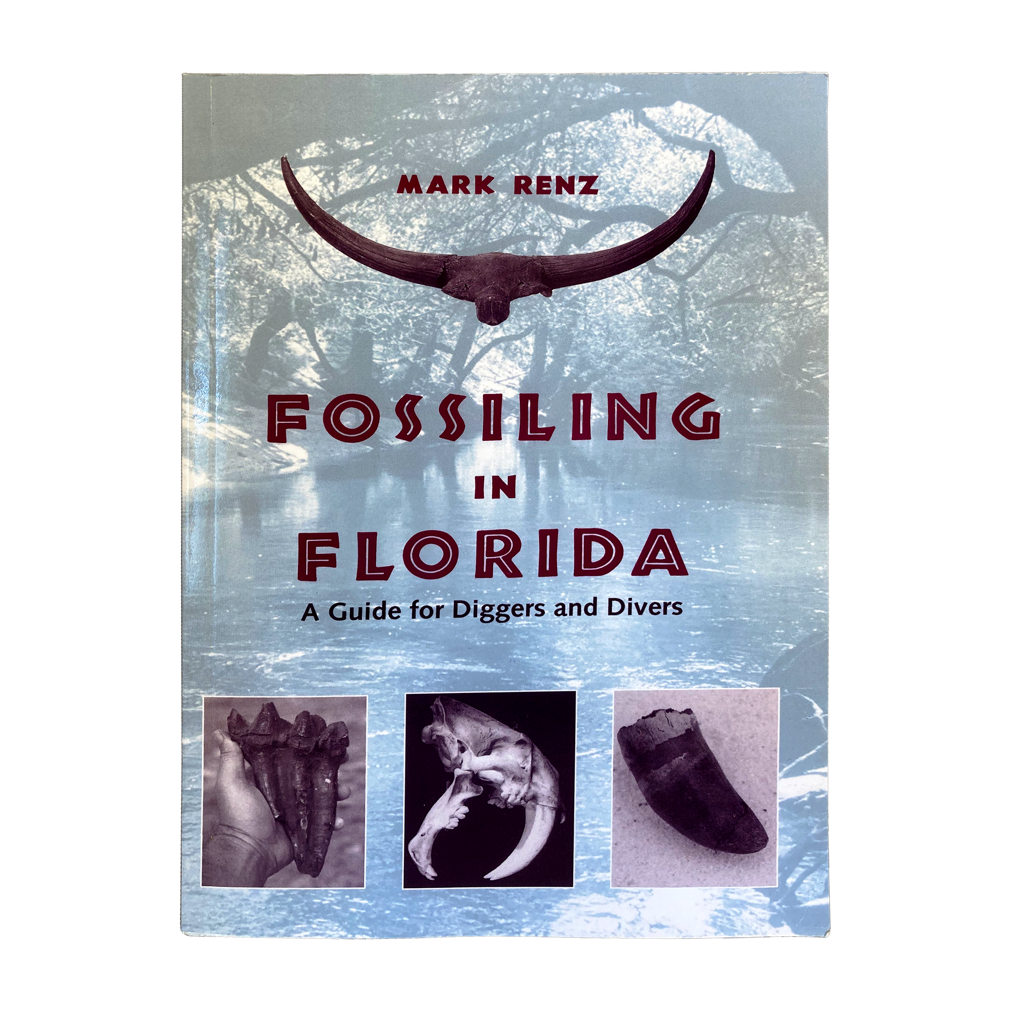 Fossiling in Florida - A Guide for Diggers and Divers