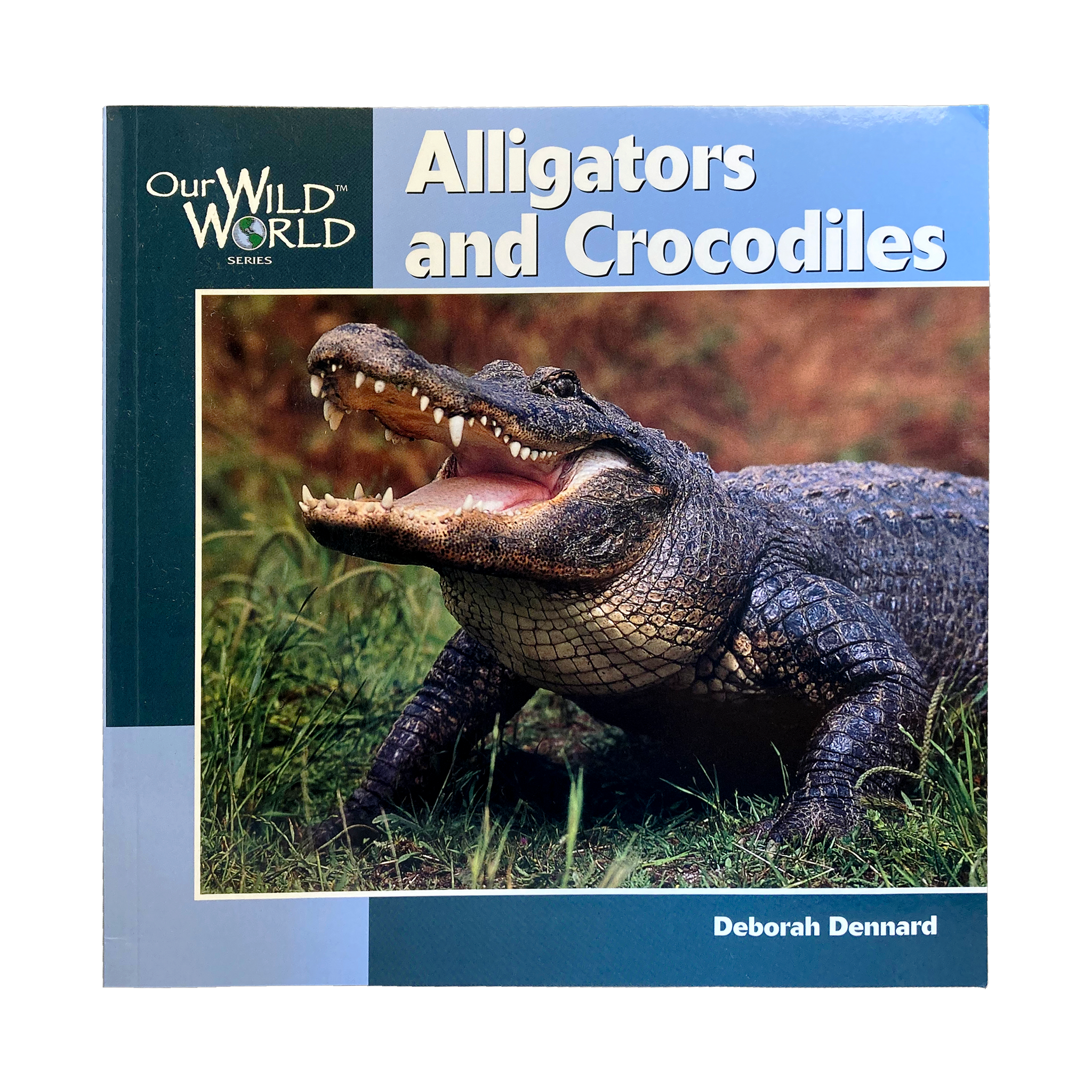 Alligator and Crocodiles - Our Wild World