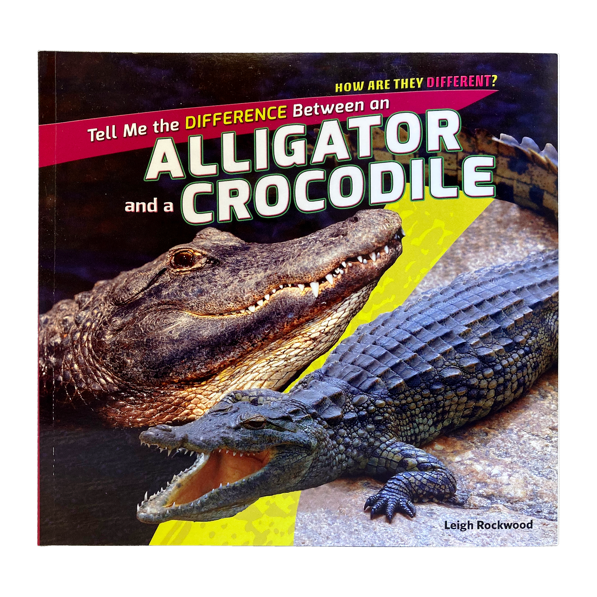 Tell Me The Difference Between an Alligator and a Crocodile