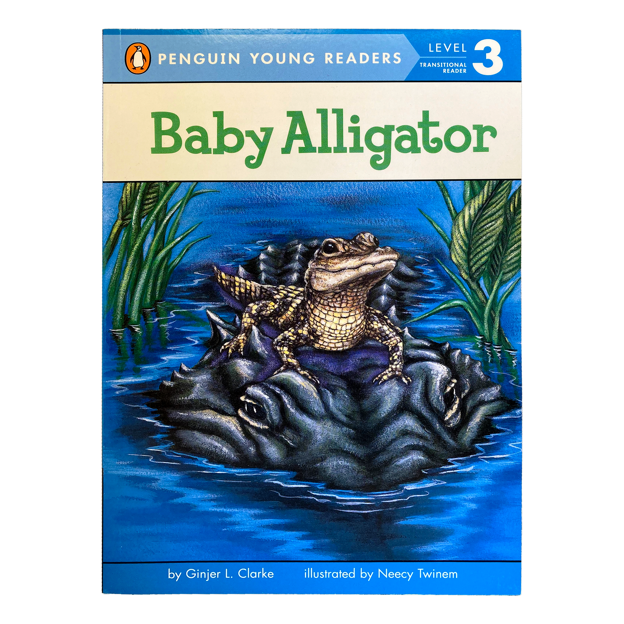 アンリークイール POKER COCCO KING ALLIGATORE Luxury alligator