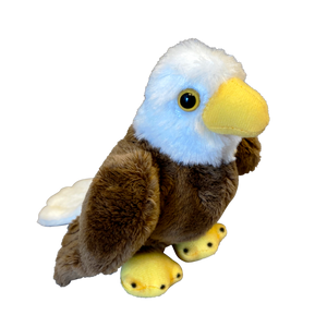 Pocket-sized Bald Eagle