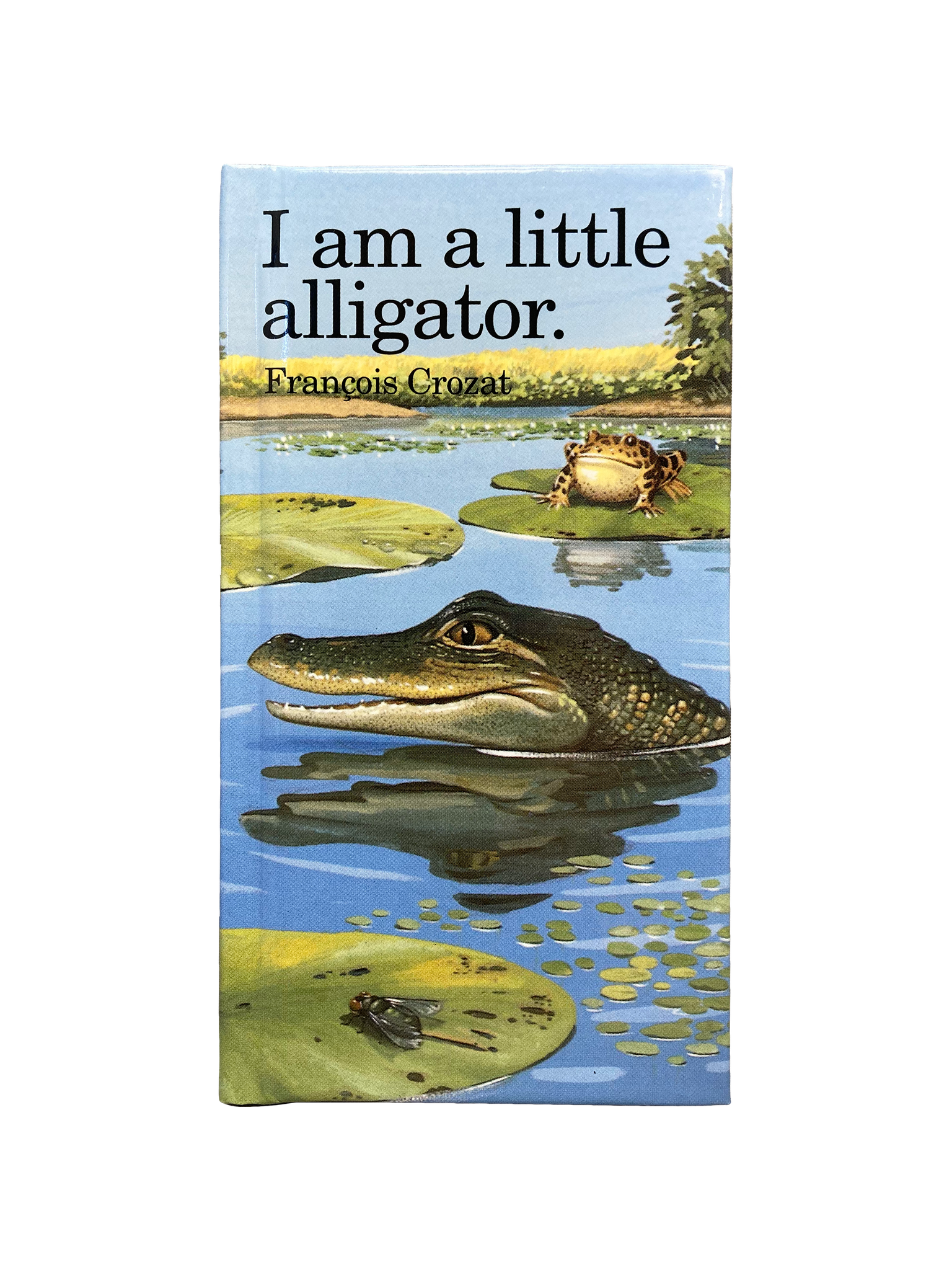 I Am A Little Alligator Book