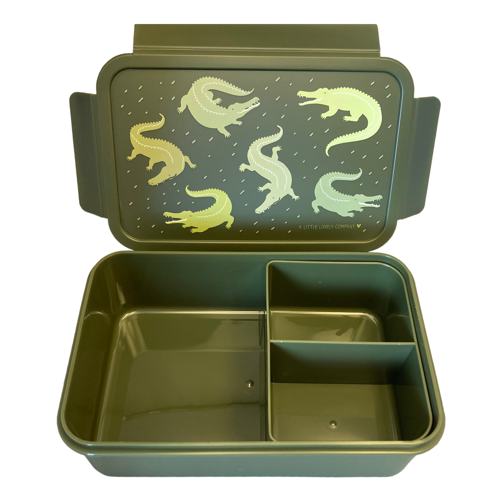 Alligator-themed Bento Box Set