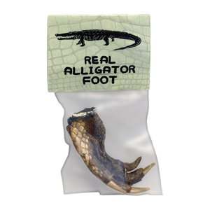 Real Alligator Foot in a Bag