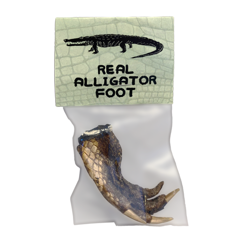 Real Alligator Foot in a Bag