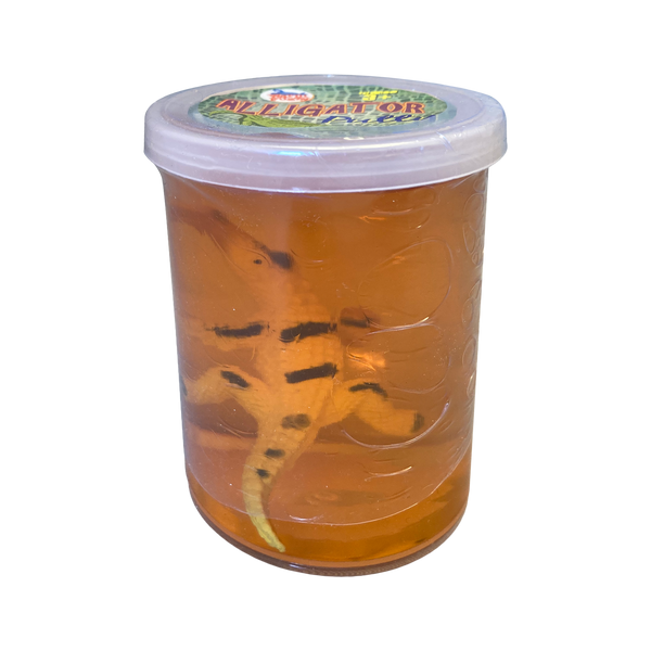 Alligator Toy in Colorful Slimy Putty