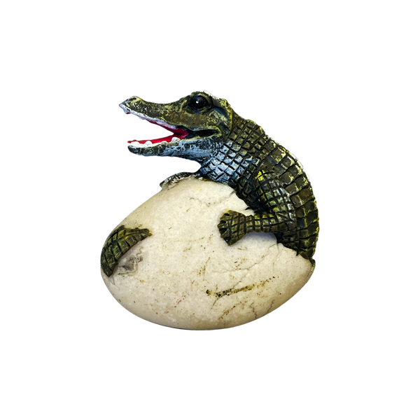 Alligator Egg Jewelry Box w/Hatching