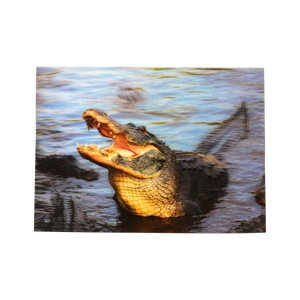 Lenticular 3D Alligator Hanging with his Friends Postcard - Get Both Styles!