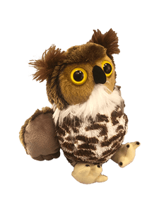 Pocket-sized Great Horned Owl