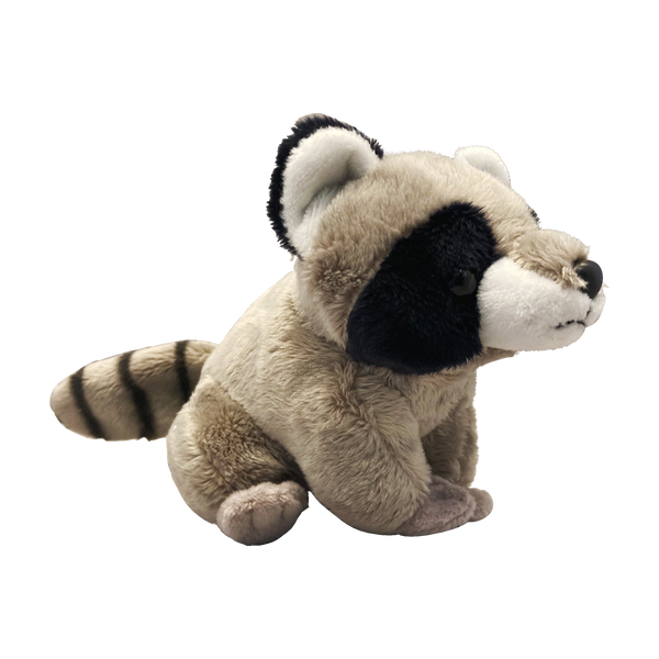 Pocket-sized Raccoon