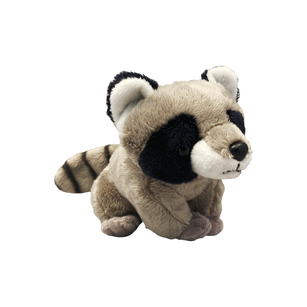 Pocket-sized Raccoon