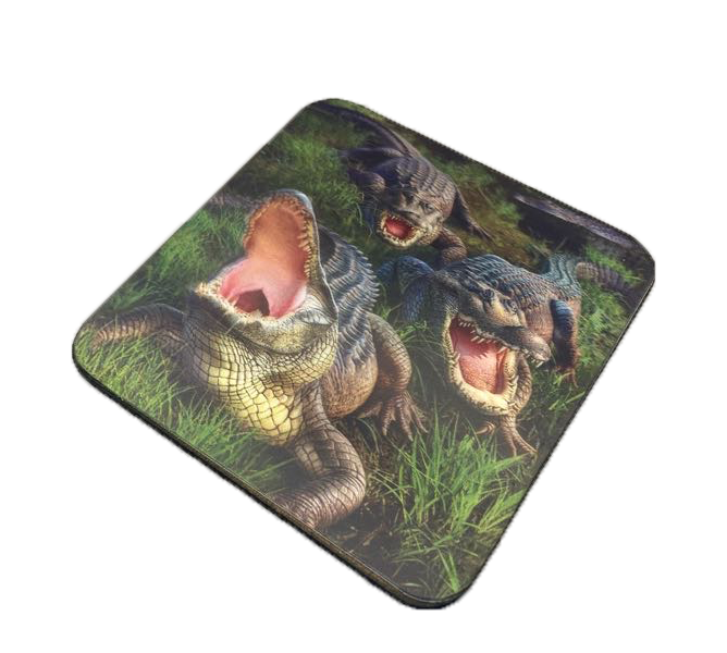 3D Gator Bog Square Coaster