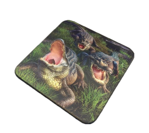 3D Gator Bog Square Coaster