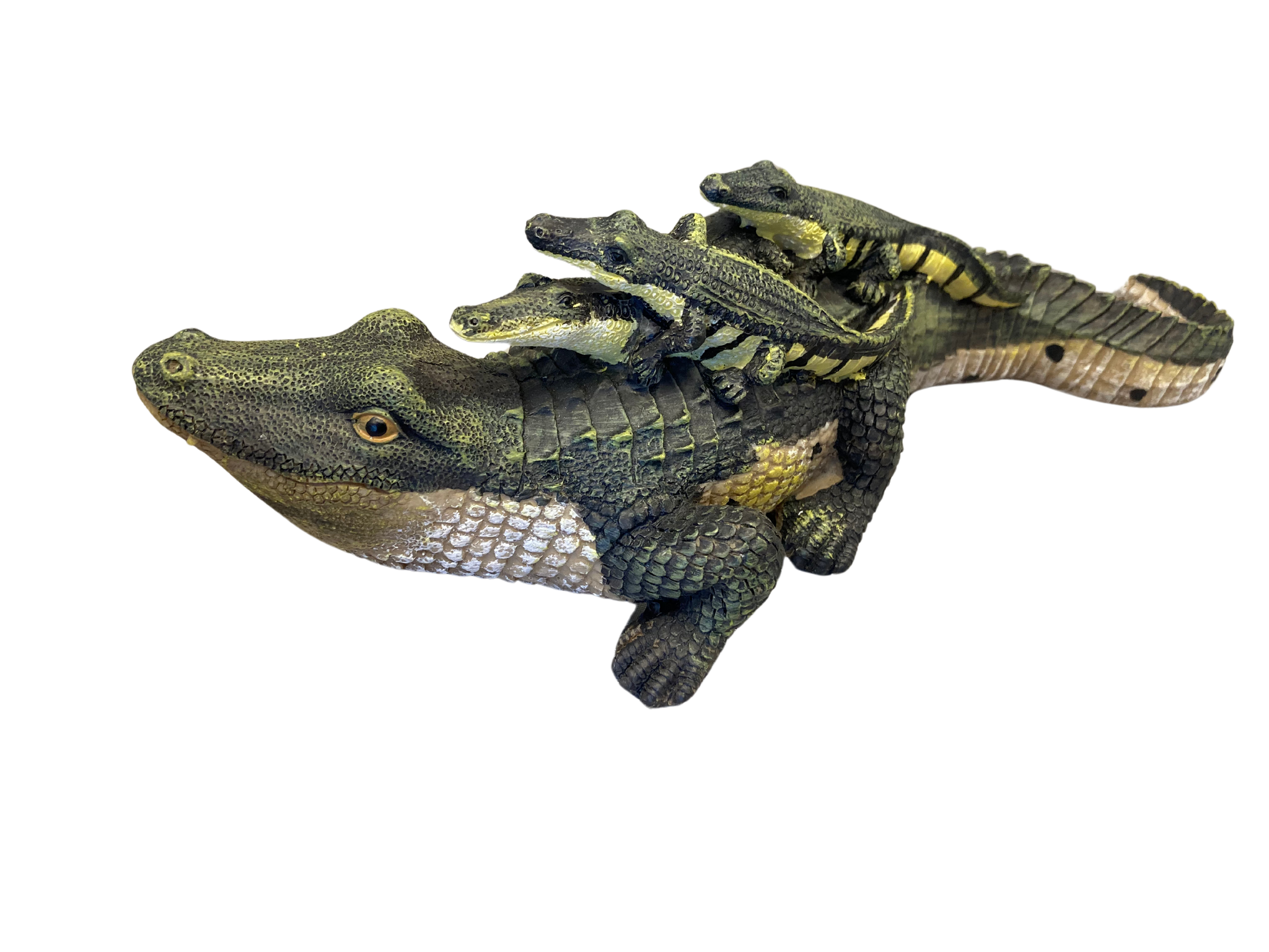Large Mama Gator with Hatchling Babies on Back