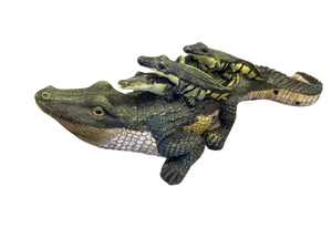 Large Mama Gator with Hatchling Babies on Back