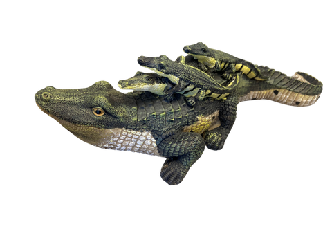 Large Mama Gator with Hatchling Babies on Back