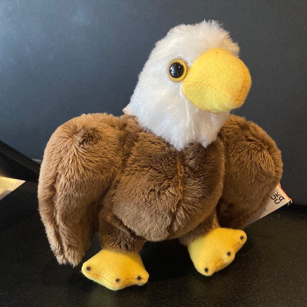 Pocket-sized Bald Eagle