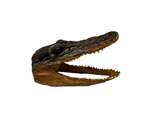 4” Resin Alligator Head - Hand Painted