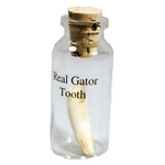 Real Gator Tooth in a Bottle - Three Sizes - Farm-raised Gators!