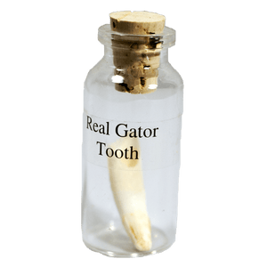 Gator Tooth in a Bottle