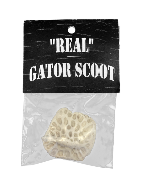 Real Alligator Scute in Bag