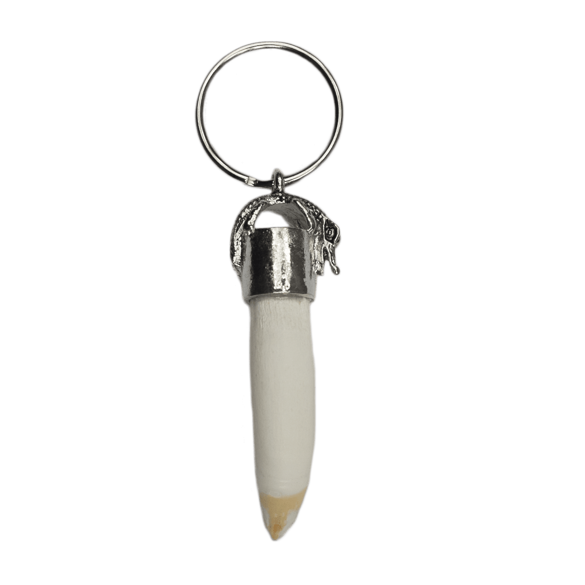 Alligator Tooth Key Ring with Alligator Cap - 3 Sizes - nice teeth ...