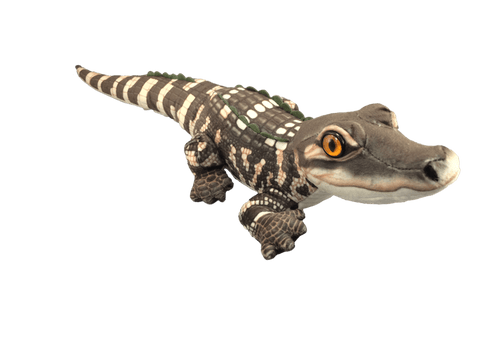 lifelike green baby alligator plush stuffed animal