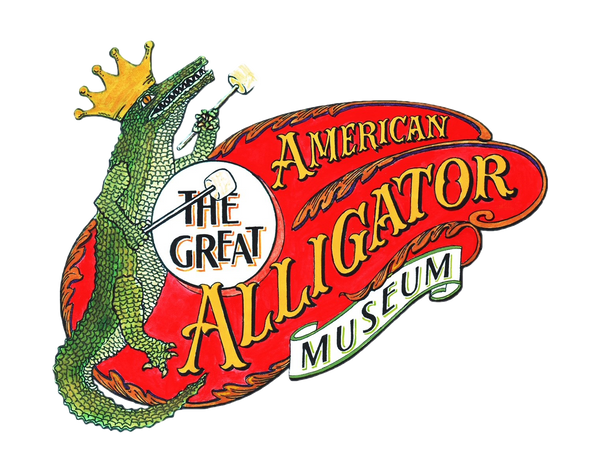 Alligator Museum Donation