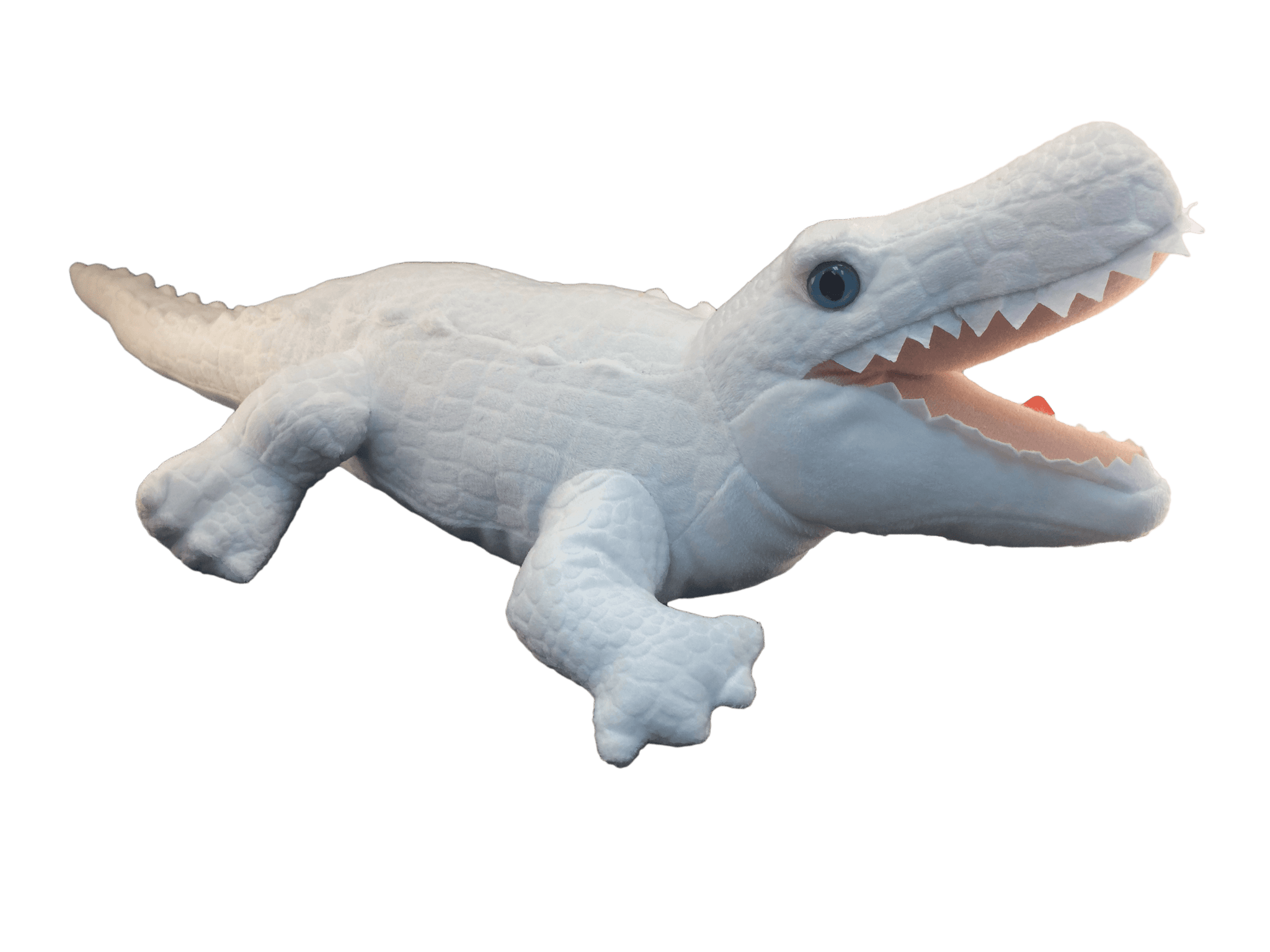 Snow White Sparkle Gator Alligator King