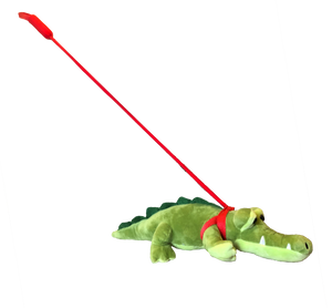 Alligator on a Leash