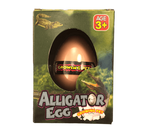 alligator in egg
