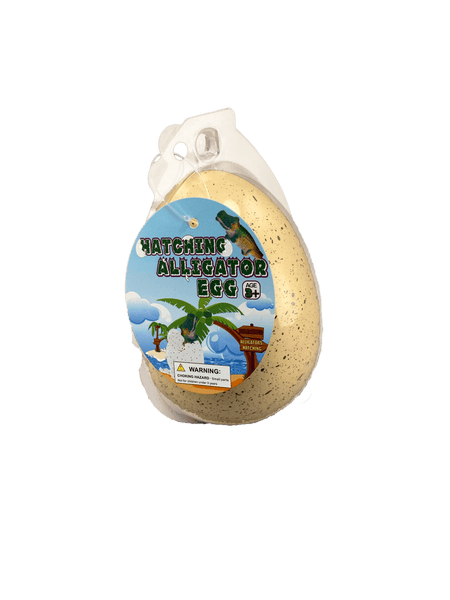 Jumbo Hatching Alligator Egg